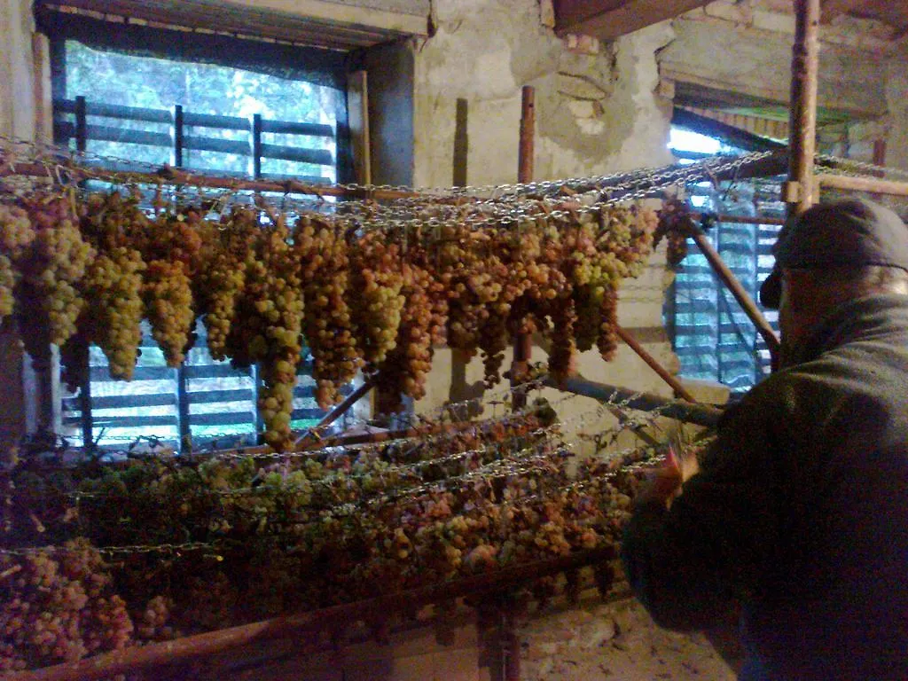Bauernhof Agriturismo Il Cocco Montalcino