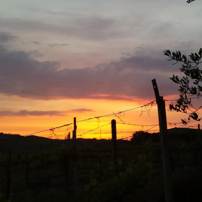 Agriturismo Il Cocco Montalcino Italie