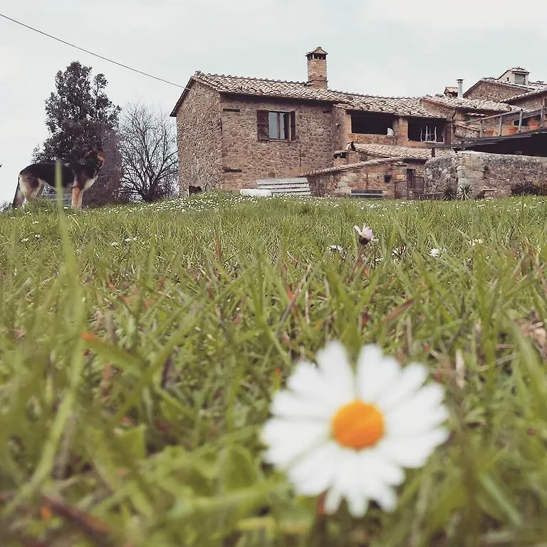 Agriturismo Il Cocco Montalcino Italie